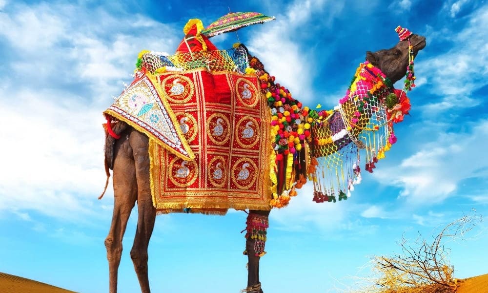 Rajasthan Cultural Tour